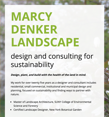 Marcy Denker Landscape - Website Copy