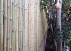 Installed a heavy duty bamboo fence at a home in Brentwood. 