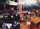 The Fontmell gin party, August 2016